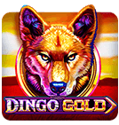 rummy alliance apk