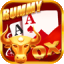 rummy pure sequence